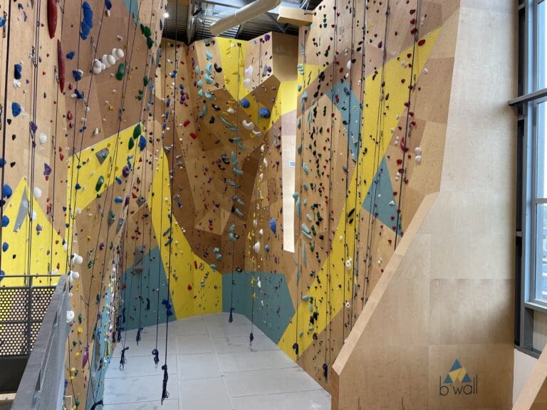 voies salle escalade vannes